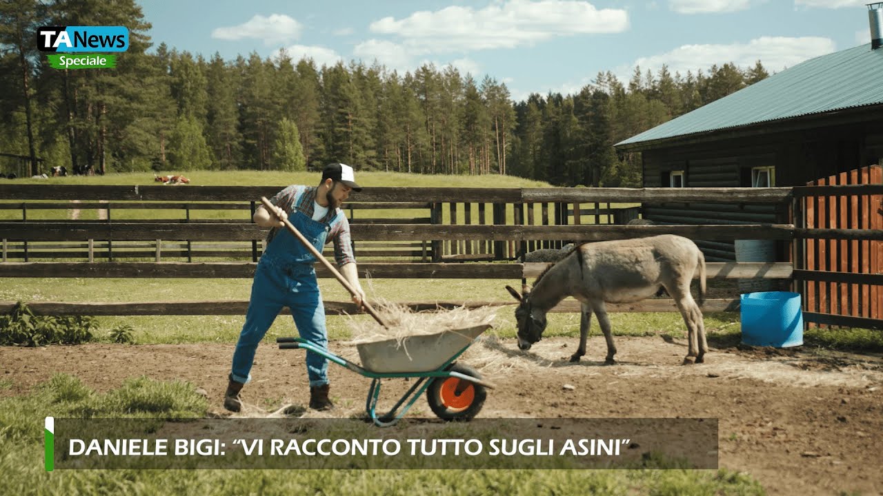 Daniele Bigi: 