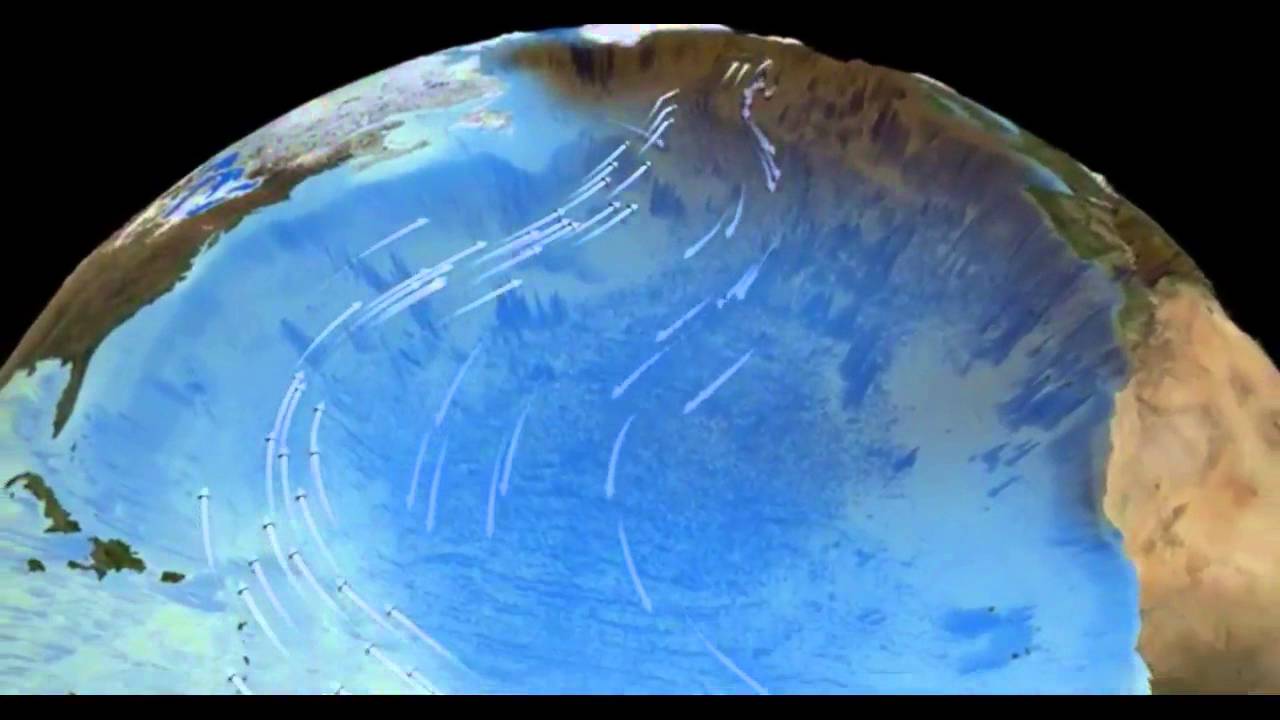 Anarctic Circumpolar Current
