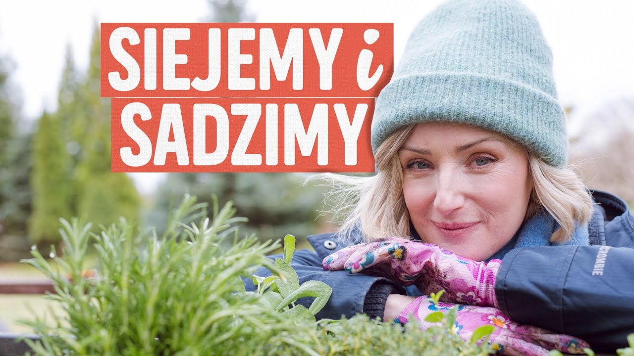 Siejemy i sadzimy, czyli warzywnik Pedantuli - sprawdzone porady | Ula Pedantula #344