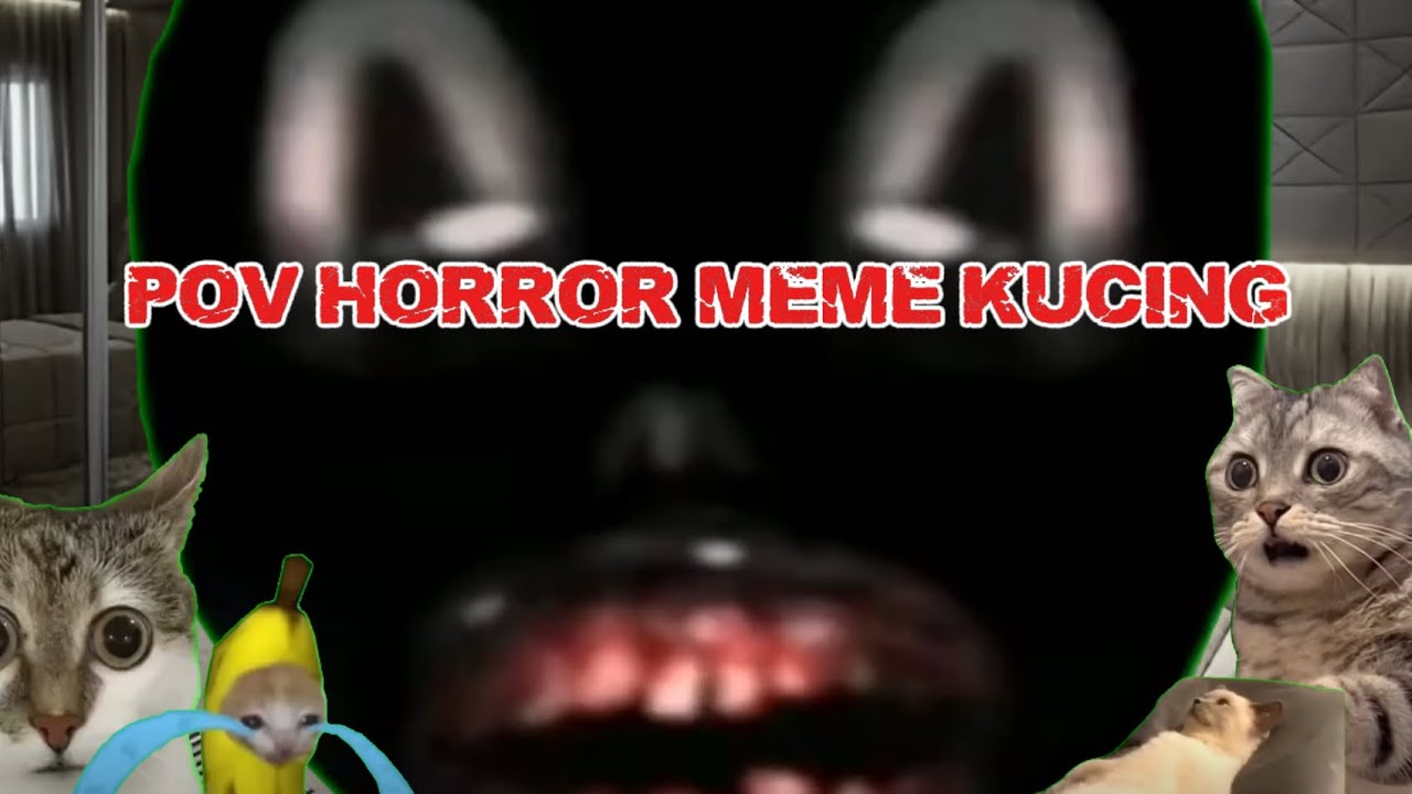 POV: Horror Meme Kucing