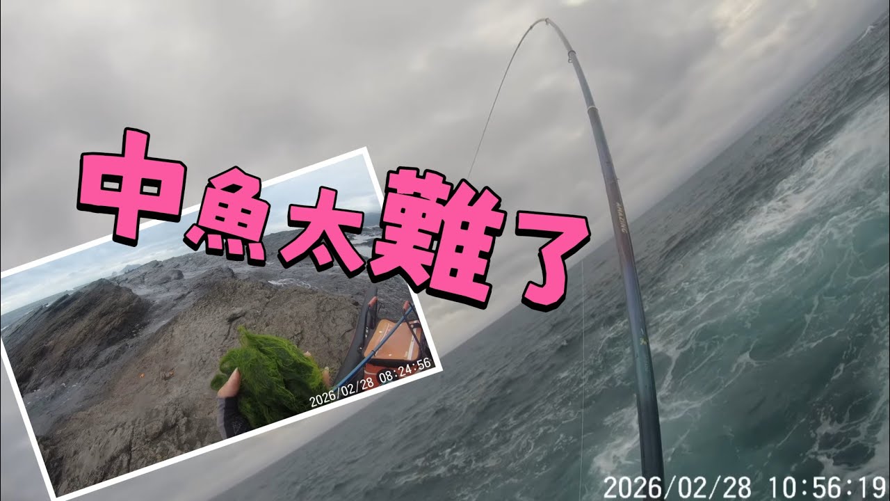 2026-2-28 今年一定有問題#藻餌磯釣