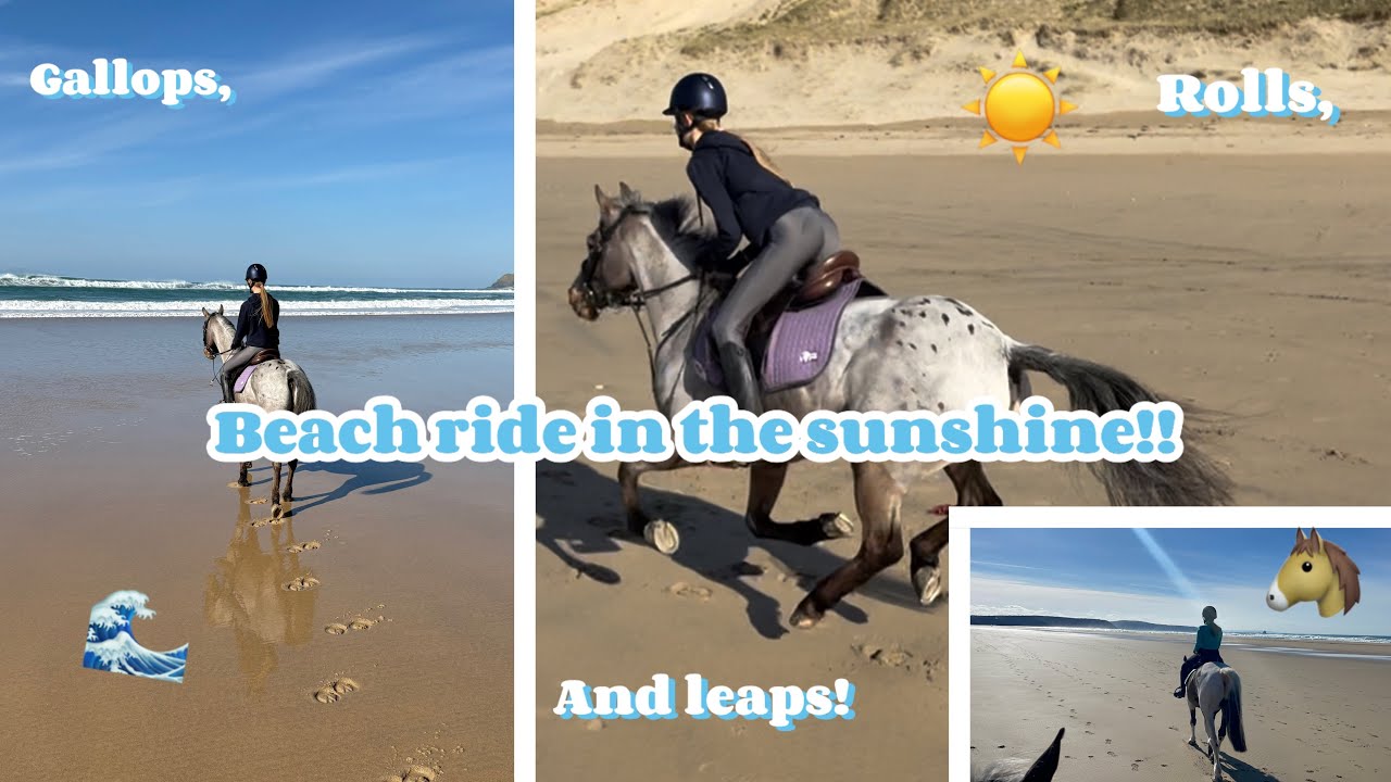 BEACH RIDE VLOG | gallops, leaps and rolling! 🩵🫶🏻 | kelkel_eventing