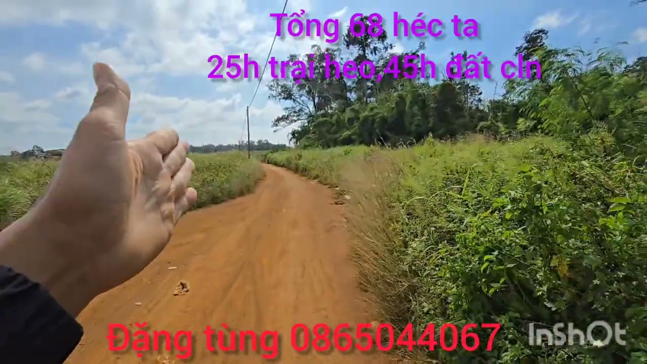 Cần chuyển nhượng 68 héc ta tại dak nông