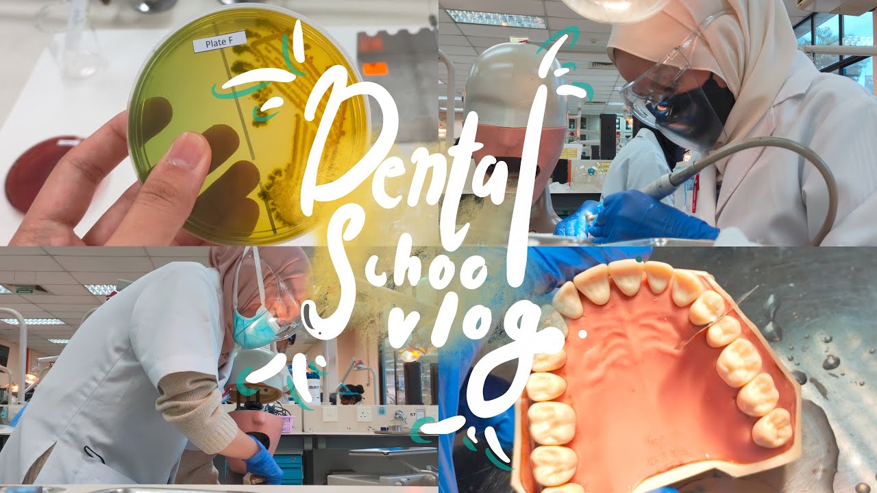 Week in a life as a dental student | MALAYSIA