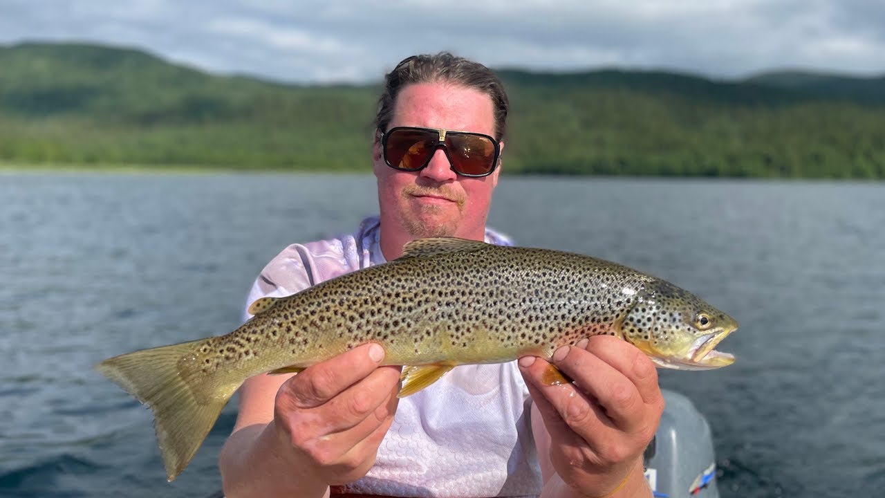 Öringfiske i Jämtland 2025