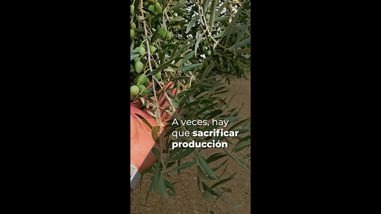 A VECES, HAY QUE SACRIFICAR PRODUCCIÓN