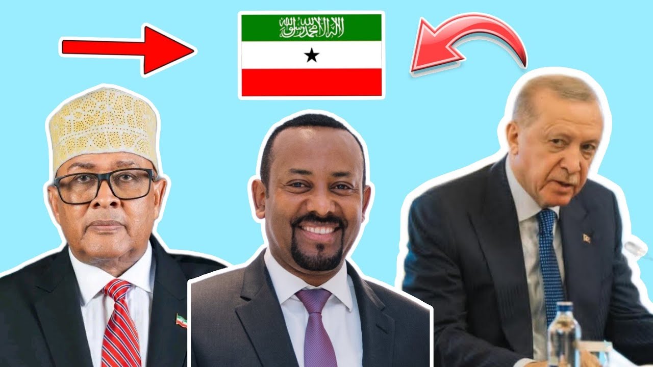 Aqoonsiga somaliland Oo Jahwareer Ku Riday Turkiga ayaa markale ka horyimid isagoo jooga Ethopia