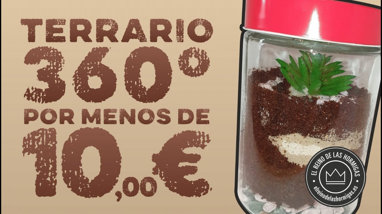 TERRARIO PARA TUS HORMIGAS | FÁCIL Y BARATO | ¡MENOS DE 10€!