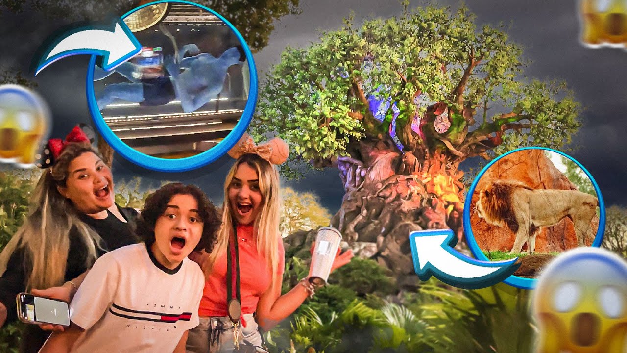 PRIMEIRA VEZ NA DISNEY !!!