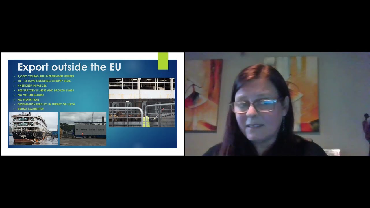 Talks for a Compassionate Future with Caroline Rowley of Ethical Farming Ireland