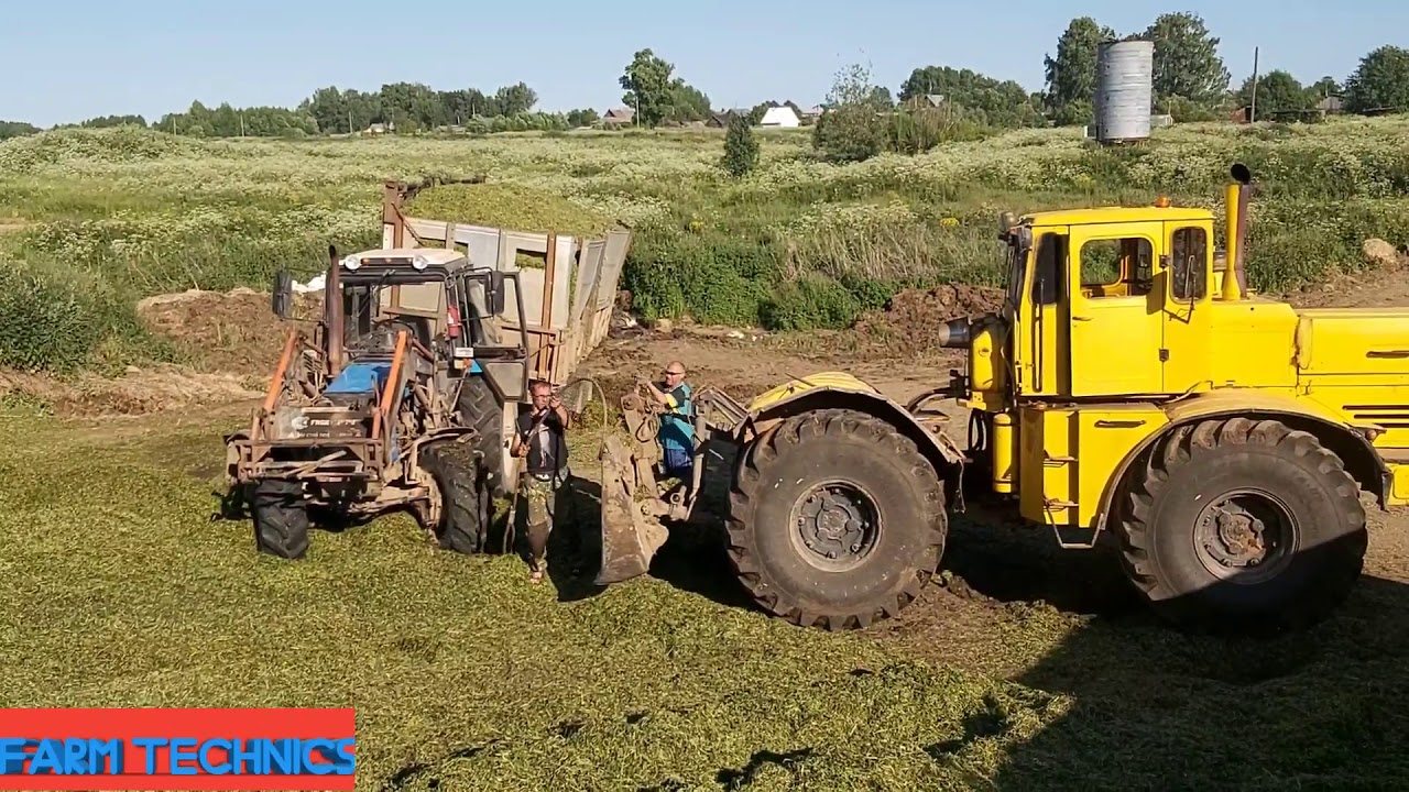 Заготовка силоса.Застрял МТЗ-1221, К-701на буксировке, ДОН-680, КамАЗ