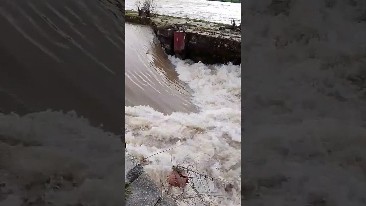 Живи каждый день!