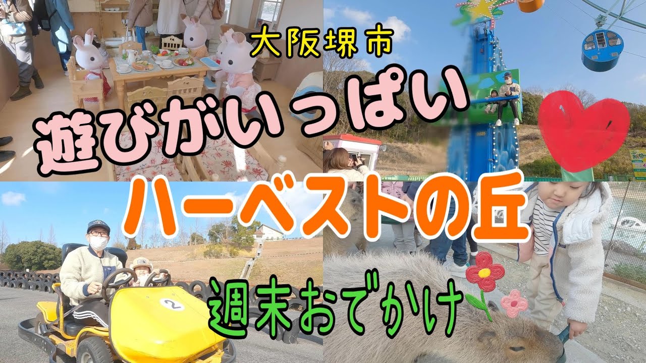 【ハーベストの丘】4歳の遊びが充実♪大阪堺市シルバニアパークカピバラさんふれあい遊園地を満喫♪