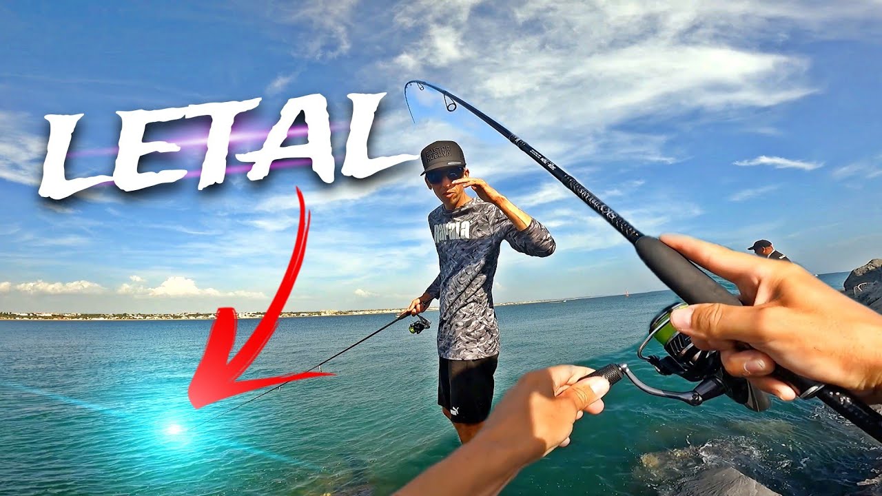 🔥 ESTE VINILO NO FALLA!! Pesca a SPINNING desde 𝑬𝑺𝑷𝑰𝑮𝑶𝑵 con el MEJOR SEÑUELO 🔥
