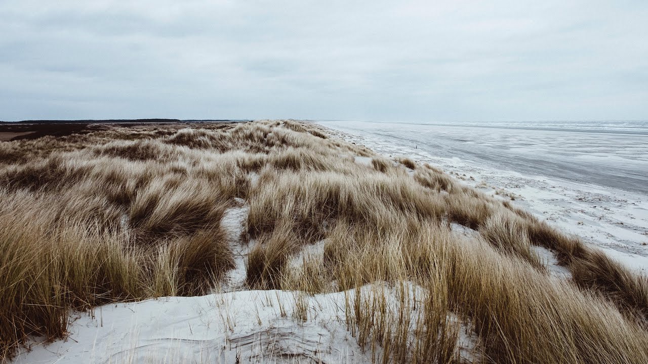 Windy Sand Dune Beach Ambience | Ocean, Storm, Grass, Wind, Waves | White Noise ASMR | 12 Hours