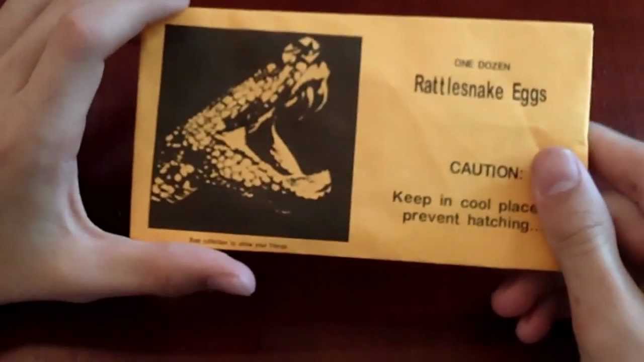 One Dozen Rattlesnake Eggs Envelope Prank