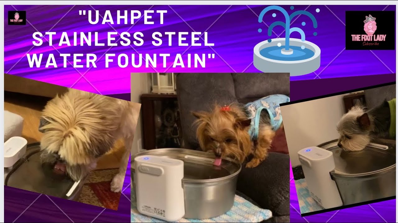 Uahpet Stainless Steel Water Fountain 