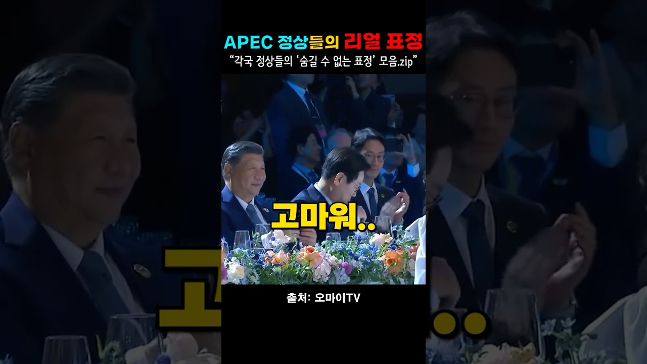 &ldquo;APEC 정상들의 리얼 표정 모음.zip | 웃음 챌린지&rdquo;
