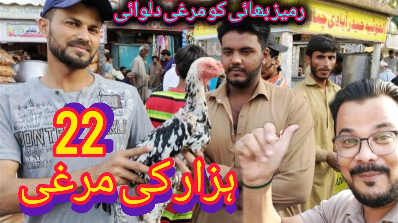 20 hazar ki murgi lalukhet bird market mein😱#hafeezuddin || 