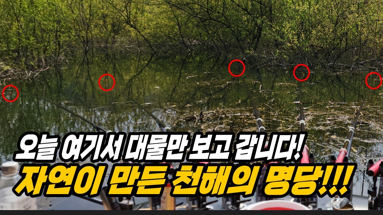 가온[붕어보트낚시]Ver161. 이런게 낚시지!!! 꾼들의 로망! 수몰나무 포인트!