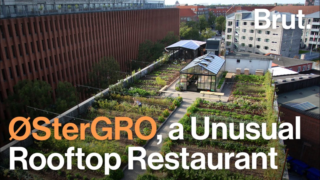 ØsterGRO, a very unconventional rooftop restaurant