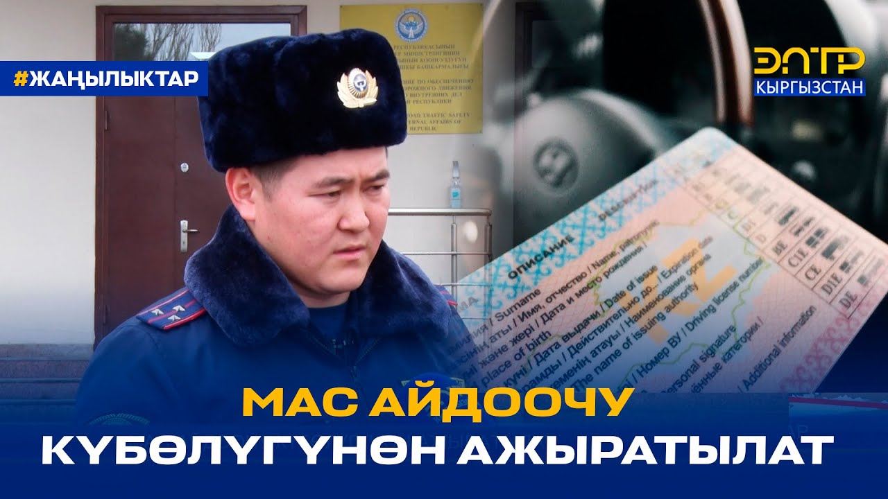 МАС АЙДООЧУ КҮБӨЛҮГҮНӨН АЖЫРАТЫЛАТ