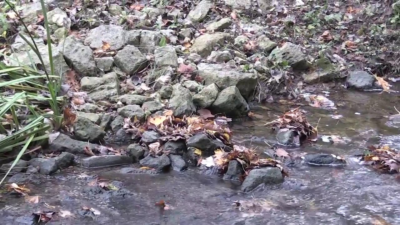 Streambank Stabilization Techniques