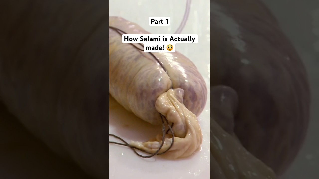 How￼ Salami is Actually made! 😳 Part 1 #salami #sausage #mold
