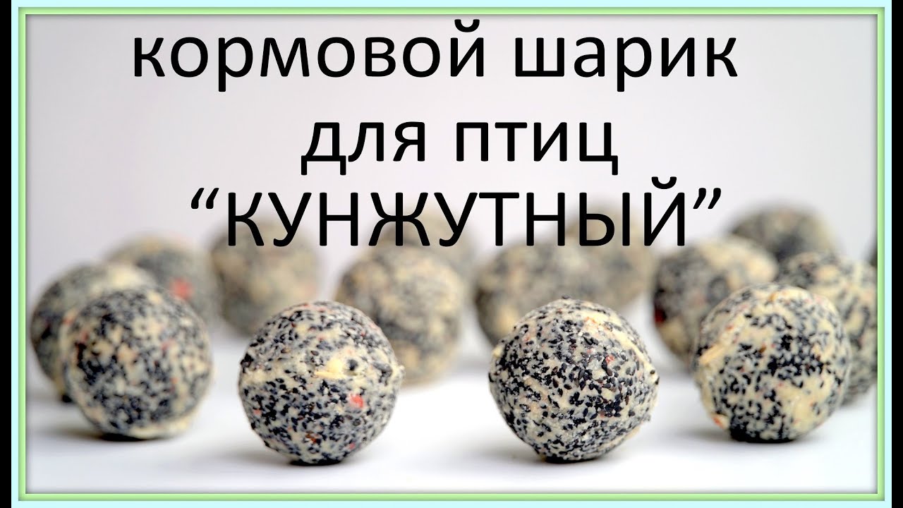 Кормовой шарик для птиц КУНЖУТНЫЙ, питательные шарики и кормушки для них + птицы в кадре!