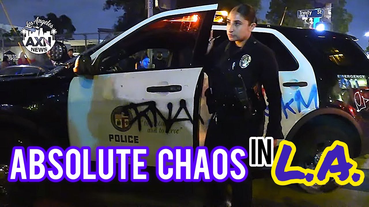 MOB of PUNKS ATTACK POLICE, VANDALIZE POLICE CAR, GRAFFITI METRO TRAINS, TAG SHOPPING PLAZA 05/24/25