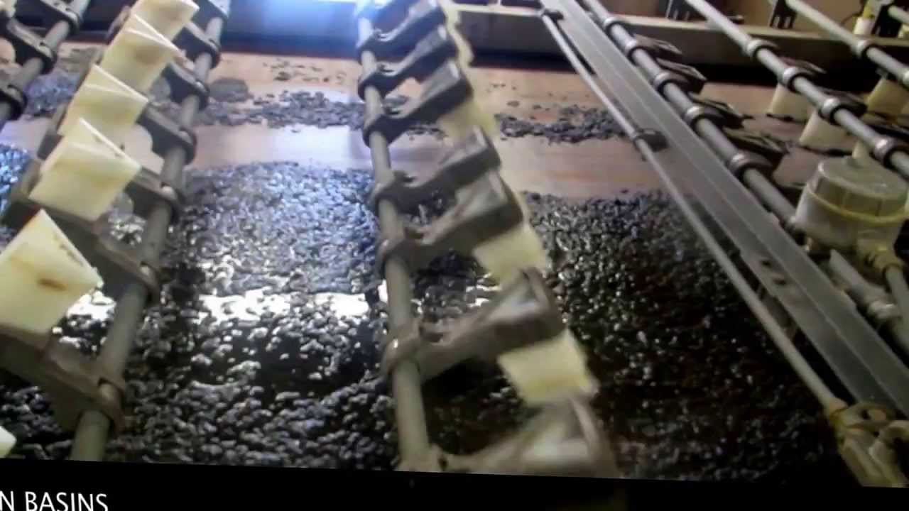Gravity Belt Thickener start up