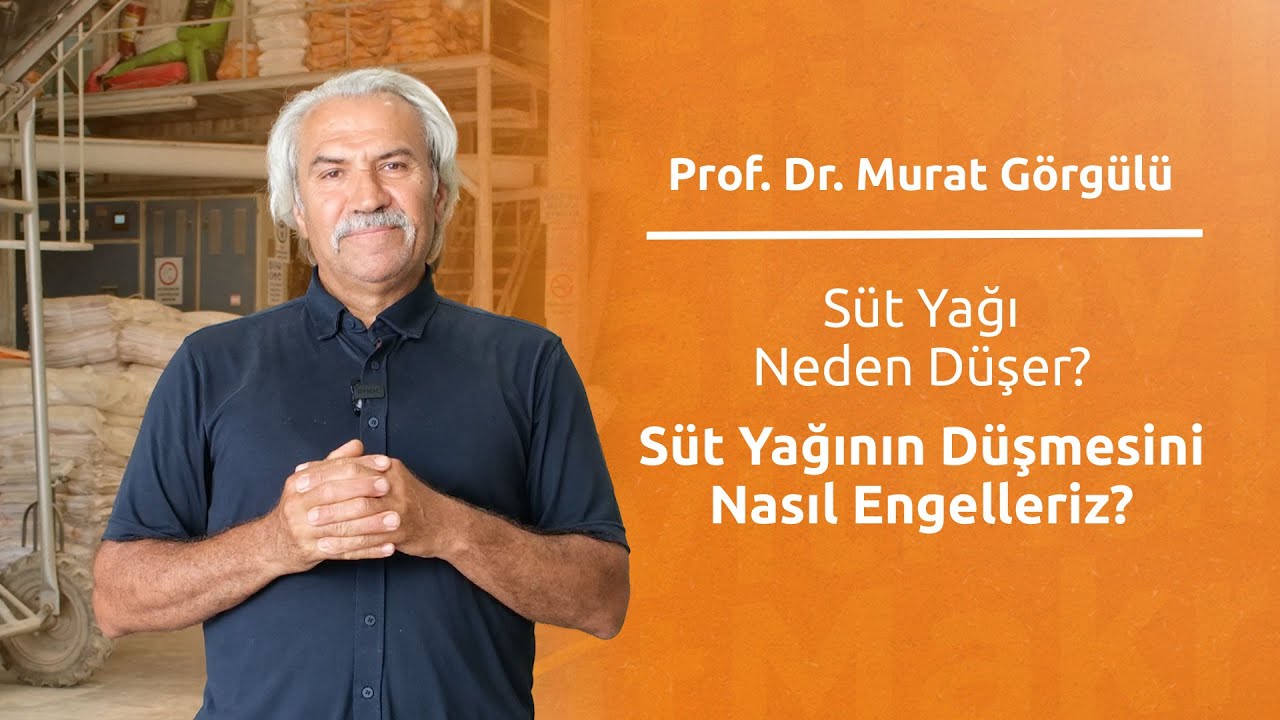 Süt Yağı Neden Düşer? Süt Yağının Düşmesini Nasıl Engelleriz?