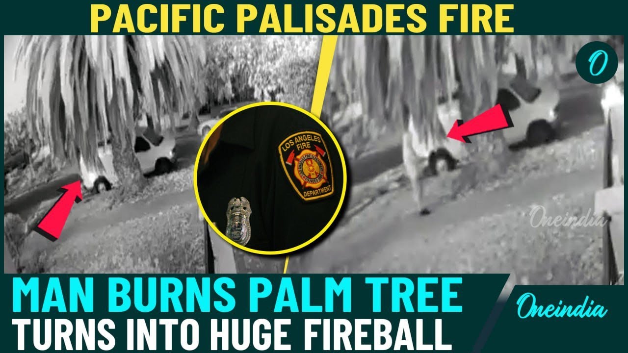 New LA CCTV Footage Reveals Palisades Fire Starter | Palm Tree Turns Into Fireball In Shocking Video