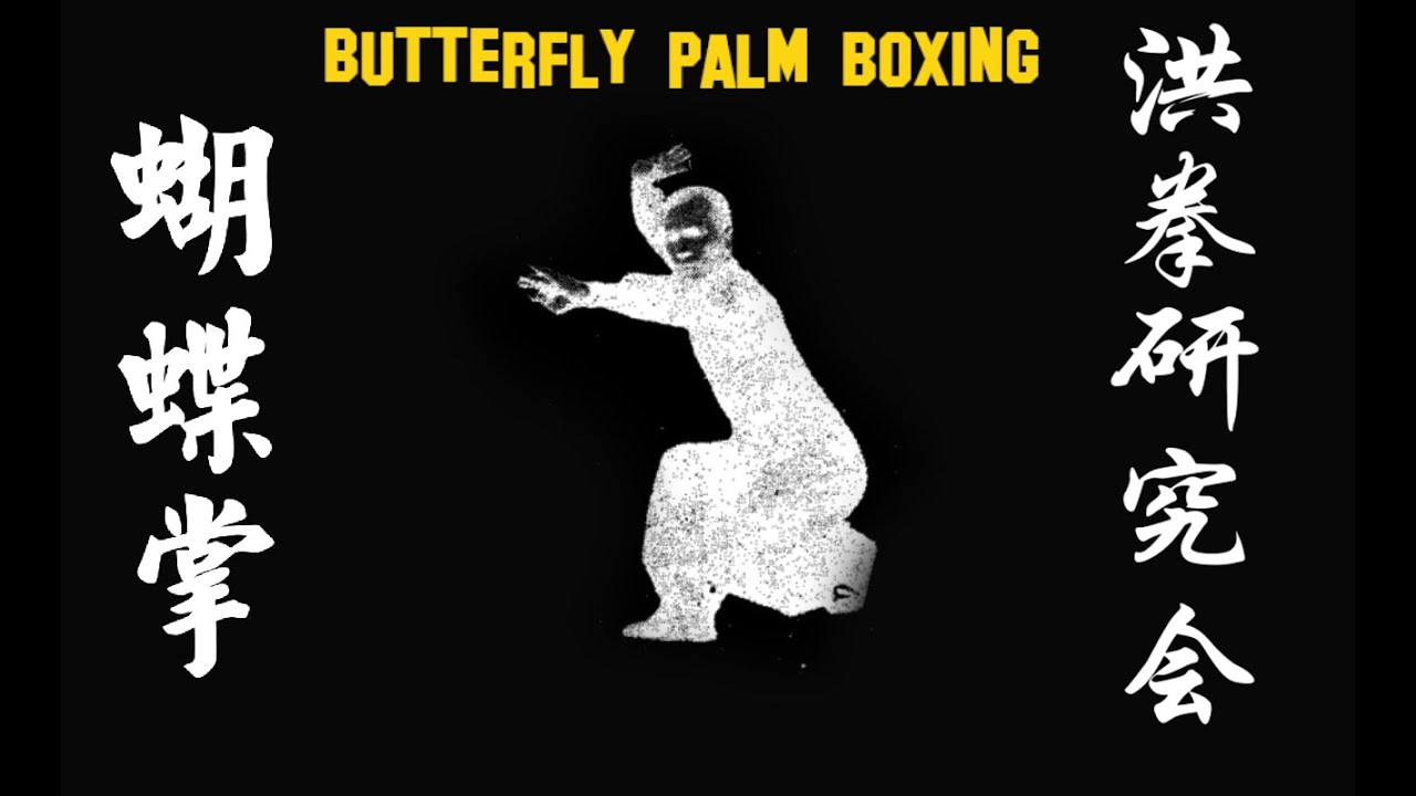 洪家蝴蝶掌 / Hung Gar Wu Dip Jeung / Hung Gar Family Butterfly Palm