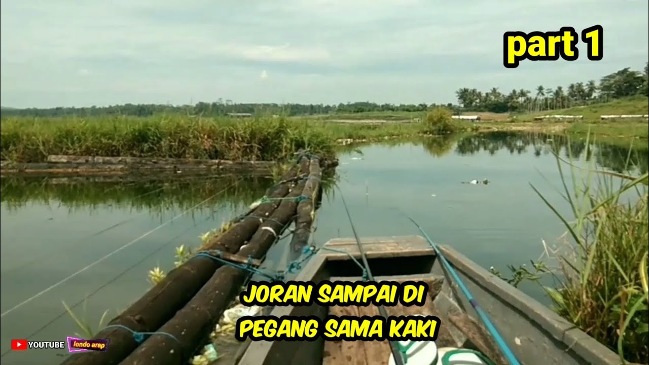Mancing pakai dua joran‼️di bikin panik dan kuwalahan‼️umpan lumut part 1@londoarap3967