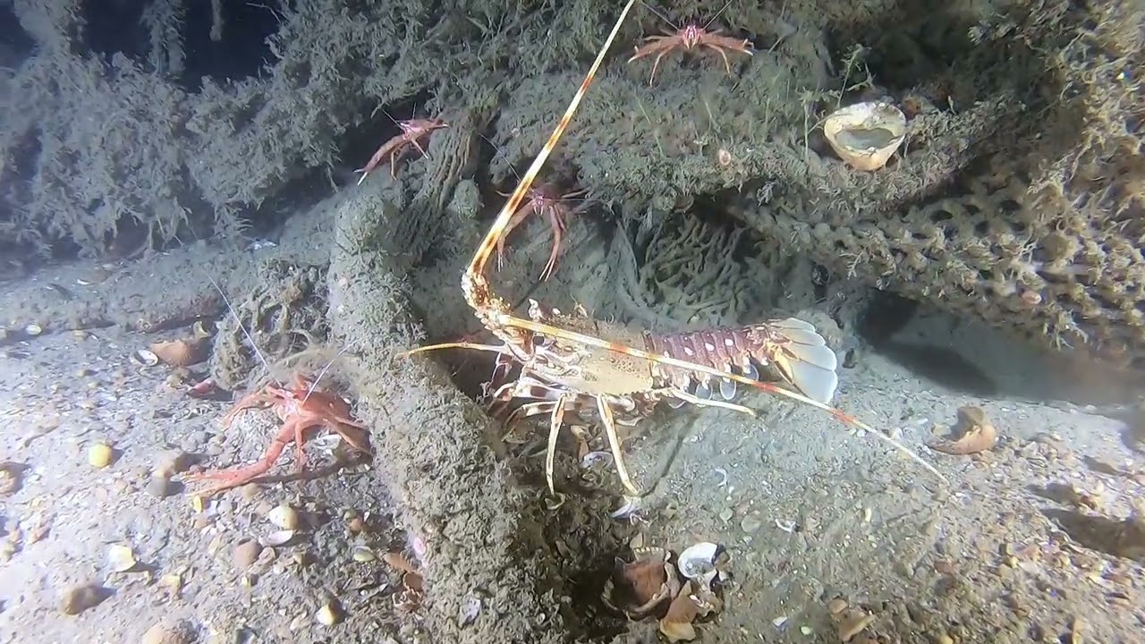Épave sous marine île de Groix, l'entité 700 par -57 m de profondeur.