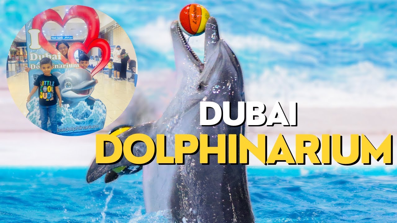 Unforgettable Fun at Dubai Dolphinarium! @lachuandsreeharisworld