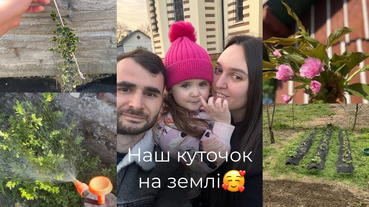 ГРЯДКА для ПОЛУНИЦІ🍓НАШЕ ПОДВІРʼЯ🏡ЩО РОСТЕ на ділянці? & плани🥰