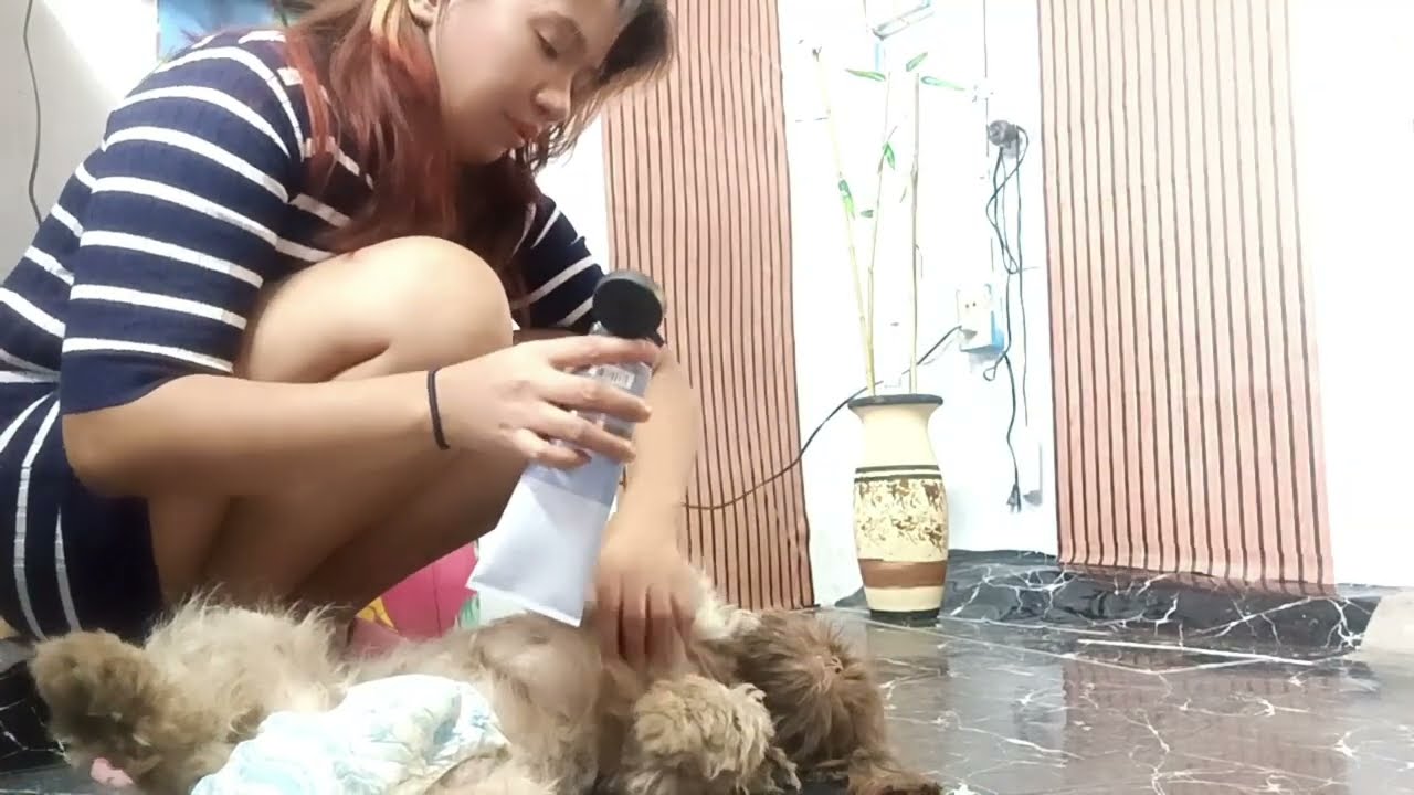Dog Bath 🐶💦 He’s Too Clingy While I’m Washing Him