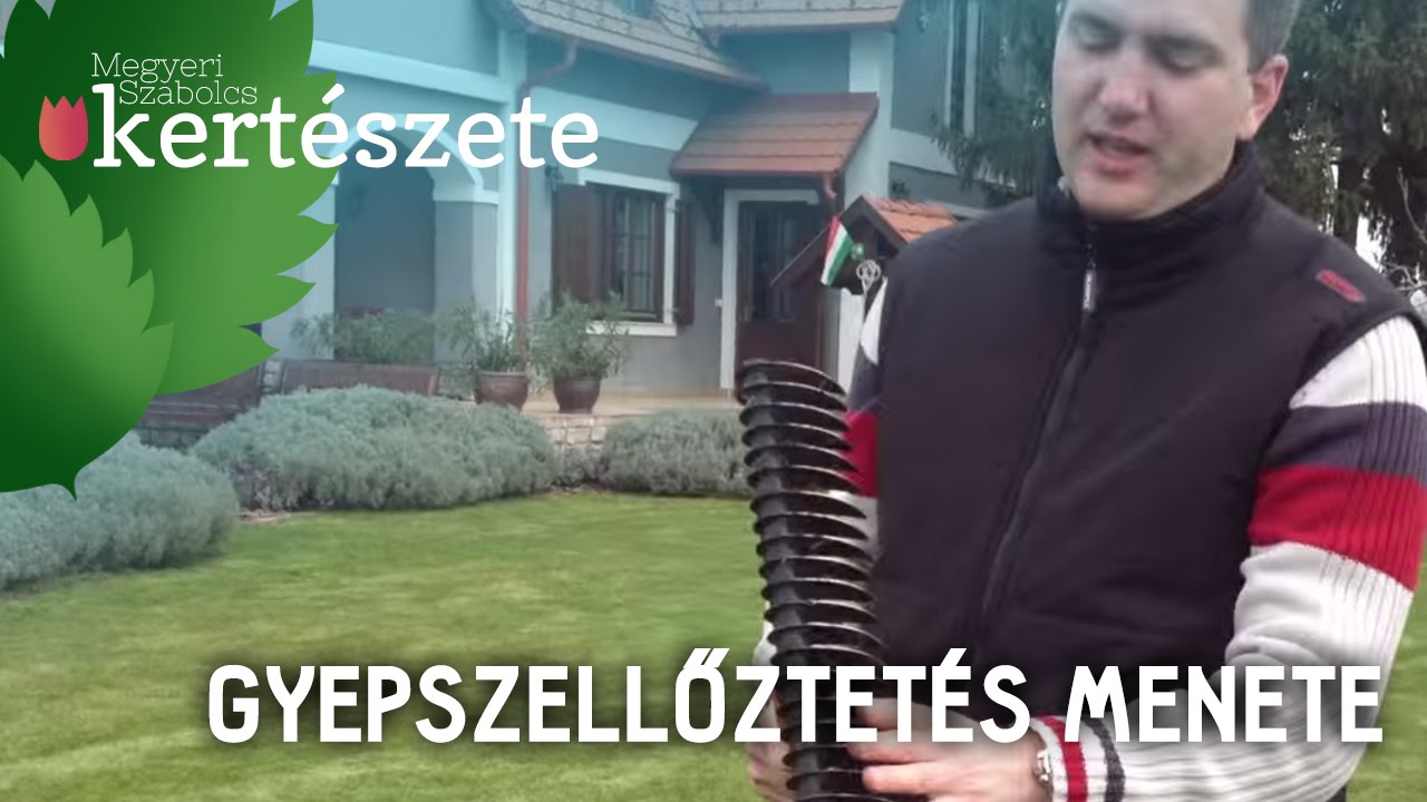 Gyepszellőztetés menete - Megyeri Szabolcs kertész