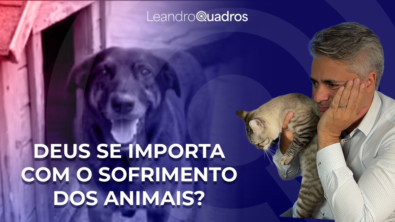 Caso Cão Orelha: 6 Advertências de Deus Para Quem Maltrata Animais | Leandro Quadros