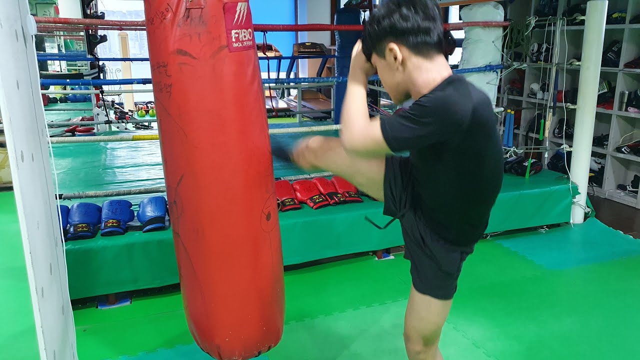 세계챔피언배출 포항권투킥복싱010.8819.7081 세계챔피언되는 복싱수련 제해철교수티비 라이브