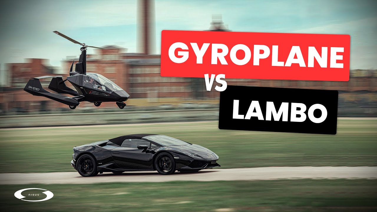 Nisus chasing Lamborghini