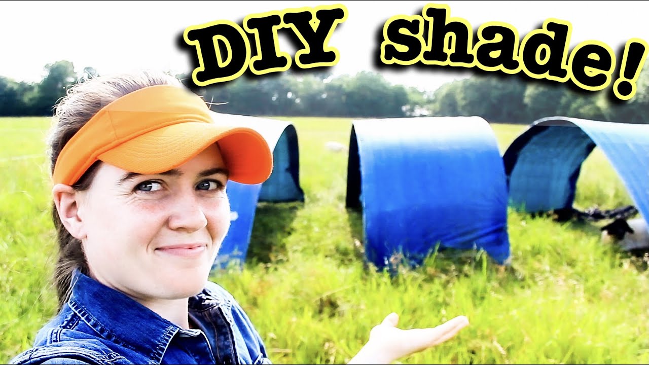 DIY TUTORIAL Portable Shade Structure for Sheep and Goats (Rotational Grazing Small Cattle)