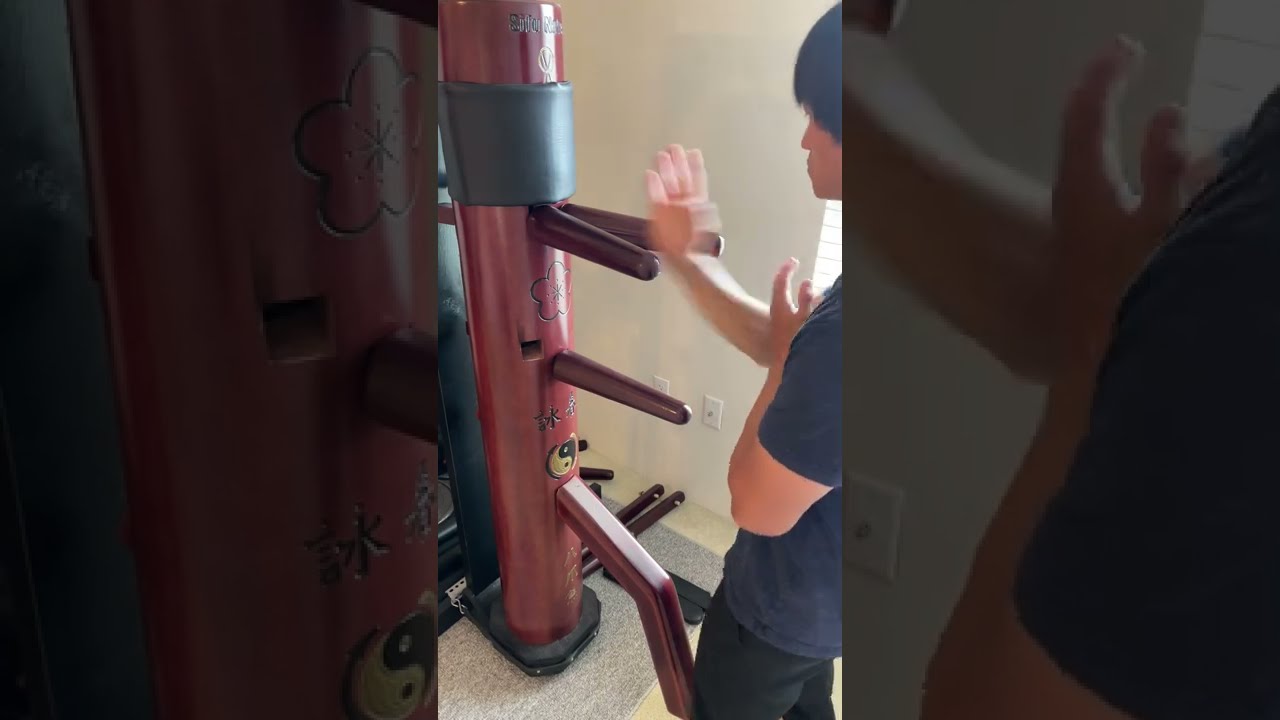 Wing Chun Dummy Set 3 Slow & Fast Tutorial #shorts