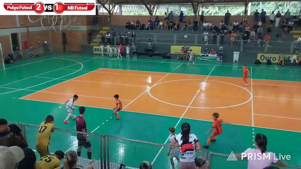 Pulga Futsal x NB futebol  sub 11