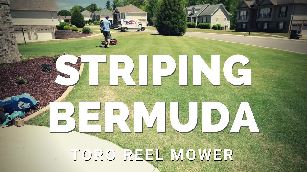 Striping Bermuda with Toro Reel Mower - 2020 Episode 6