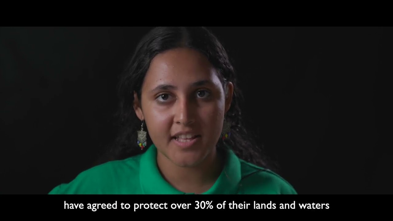 Creating a Planetary Safety Net - A mini-documentary