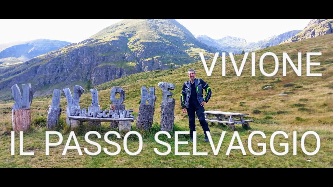 VIVIONE - IL PASSO SELVAGGIO