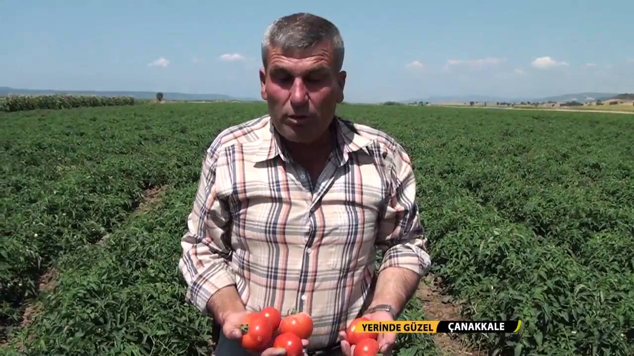 YERİNDE GÜZEL PROGRAMI BİRİNCİ BÖLÜM- CANAKKALE DOMATESİ